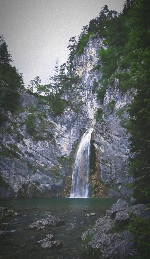 Ferienhaus Walcher Sankt Martin am Grimming Dış mekan fotoğraf