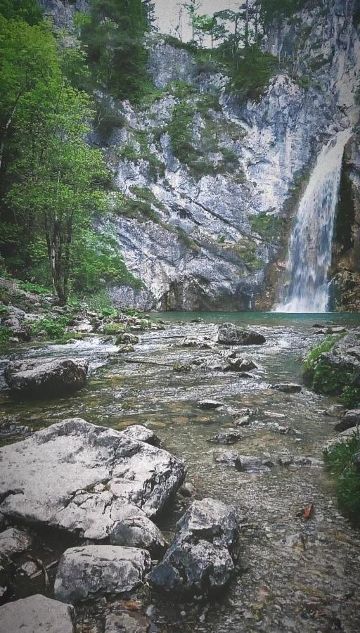 Ferienhaus Walcher Sankt Martin am Grimming Dış mekan fotoğraf